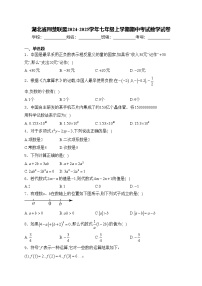 湖北省荆楚联盟2024-2025学年七年级上学期期中考试数学试卷(含答案)