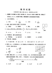 重庆市第八中学校2024-2025学年上学期九年级第二次月考数学试题