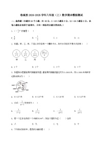 河北省临城县2024-2025学年八年级（上）数学期末模拟测试（含答案及详解）