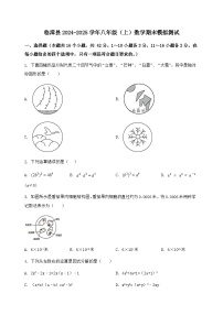 河北省临漳县2024-2025学年八年级（上）数学期末模拟测试（含答案及详解）