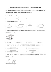 河北省临西县2024-2025学年八年级（上）数学期末模拟测试（含答案及详解）