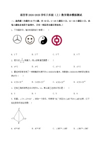 河北省南宫市2024-2025学年八年级（上）数学期末模拟测试（含答案及详解）