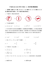 河北省卢龙县2024-2025学年八年级（上）数学期末模拟测试（含答案及详解）