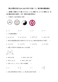 河北省唐山市曹妃甸区2024-2025学年八年级（上）数学期末模拟测试（含答案及详解）