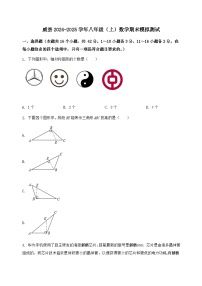 河北省威县2024-2025学年八年级（上）数学期末模拟测试（含答案及详解）