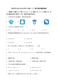 河北省定州市2024-2025学年八年级（上）数学期末模拟测试（含答案及详解）