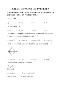 河北省昌黎县2024-2025学年八年级（上）数学期末模拟测试（含答案及详解）