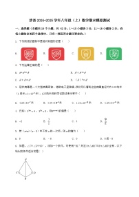 河北省涉县2024-2025学年八年级（上）数学期末模拟测试（含答案及详解）