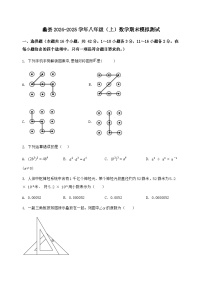 河北省蠡县2024-2025学年八年级（上）数学期末模拟测试（含答案及详解）