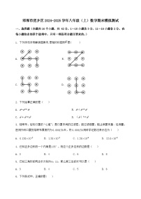 河北省邯郸市肥乡区2024-2025学年八年级（上）数学期末模拟测试（含答案及详解）