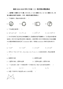 河北省雄县2024-2025学年八年级（上）数学期末模拟测试（含答案及详解）