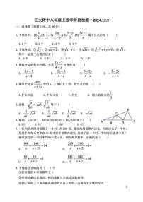 黑龙江省哈尔滨工业大学附属中学校2024-2025学年八年级上学期数学12月阶段检测试卷