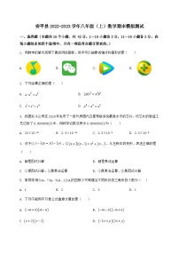 河北省安平县2022-2023学年八年级（上）数学期末模拟测试（含答案及详解）