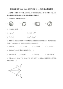 河北省保定市竞秀区2022-2023学年八年级（上）数学期末模拟测试（含答案及详解）