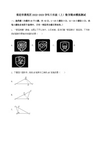 河北省保定市清苑区2022-2023学年八年级（上）数学期末模拟测试（含答案及详解）