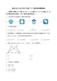 河北省沧县2022-2023学年八年级（上）数学期末模拟测试（含答案及详解）