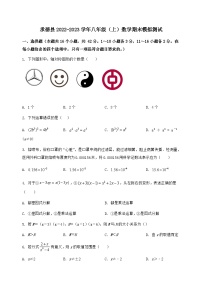 河北省承德县2022-2023学年八年级（上）数学期末模拟测试（含答案及详解）