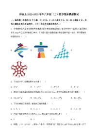 河北省怀安县2022-2023学年八年级（上）数学期末模拟测试（含答案及详解）