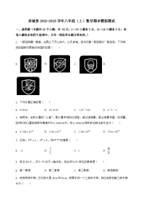 河北省赤城县2022-2023学年八年级（上）数学期末模拟测试（含答案及详解）