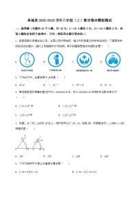 河北省阜城县2022-2023学年八年级（上）数学期末模拟测试（含答案及详解）