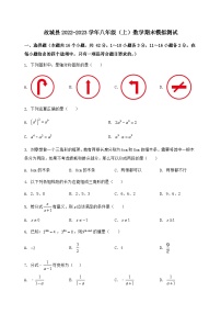 河北省故城县2022-2023学年八年级（上）数学期末模拟测试（含答案及详解）