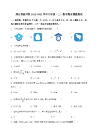 河北省邢台市任泽区2022-2023学年八年级（上）数学期末模拟测试（含答案及详解）