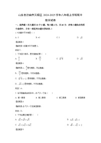 2024-2025学年山东省济南市天桥区八年级(上)期中数学试卷(解析版)