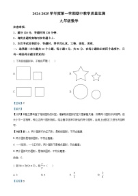 河北省保定市保定白沟新城等2地2024-2025学年九年级上学期11月期中数学试题（解析版）-A4