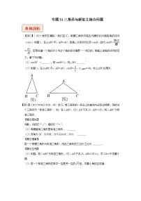 中考数学二轮复习压轴题培优训练专题31三角形与新定义综合问题（2份，原卷版+解析版）