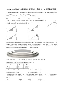 广东省深圳外国语学校2025届九年级上学期开学考试数学试卷(含答案)