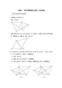 中考数学二轮培优训练专题07 手拉手模型综合应用（专项训练）（2份，原卷版+解析版）