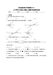 河北省张家口市桥西区2024-2025学年八年级上学期11月期中考试数学试卷(含答案)