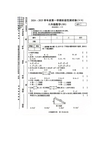 河南省平顶山市等2地2024-2025学年八年级上学期12月月考数学试题