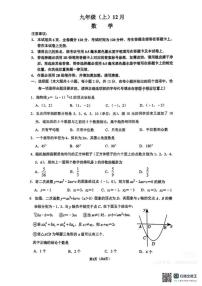 江苏省南京师范大学附属中学树人学校2024-2025学年上学期12月月考九年级数学测试卷