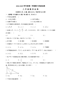 广东省茂名市茂南区部分学校2024-2025学年八年级上学期期中考试数学试题（原卷版）-A4