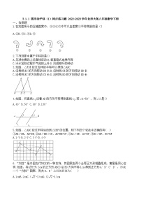数学八年级下册1 图形的平移课时训练