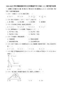 安徽省滁州市天长市铜城中学2024~2025学年上学期八年级数学期中数学试卷-A4