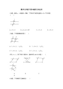 人教版数学七下期末专题练习专题四 几何证明（含答案）