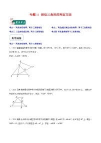 北师大版数学九上期末重难点培优训练专题11 相似三角形的判定方法（2份，原卷版+解析版）