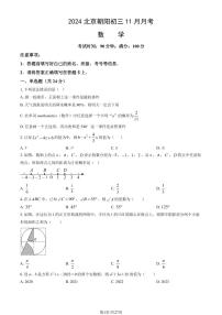 2024北京朝阳初三(上)11月月考数学试卷(教师版)