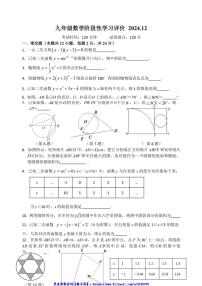 2024～2025学年江苏省镇江市宜城中学集团九年级(上)12月月考数学试卷