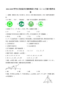 2024-2025学年江苏省扬州市梅岭集团八年级（上）11月期中数学试卷（含答案）