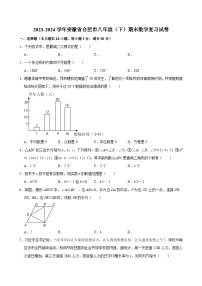 2023-2024学年安徽省合肥市八年级（下）期末数学复习试卷