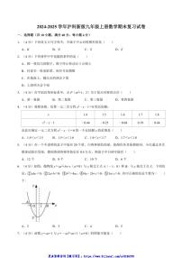 2024～2025学年沪科新版九年级上册数学期末复习试卷(含详解)