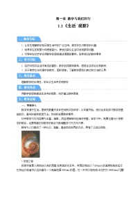 苏科版（2024）七年级上册（2024）1.1 生活 观察教案