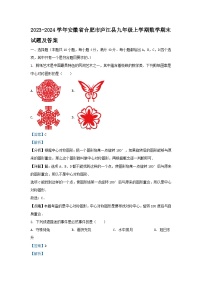 2023-2024学年安徽省合肥市庐江县九年级上学期数学期末试题及答案