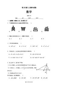 北京市清华大学附属中学2024—2025学年上学期八年级期中数学试卷