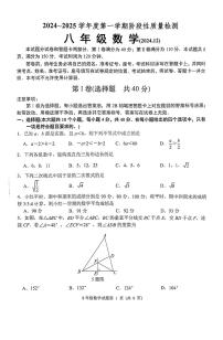 山东省济南市槐荫区2024-2025学年八年级上学期12月 月考数学试题