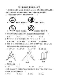 山东省淄博市张店区第九中学2024-2025学年七年级上学期12月月考数学试卷（五四制）