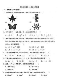 广东省广州市白云区云英实验学校2024-2025学年九年级上学期数学12月月考试卷